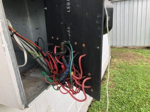 Vermin-and-Asbestos-e1554356333151-300×225
