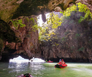 Thailand forrest image