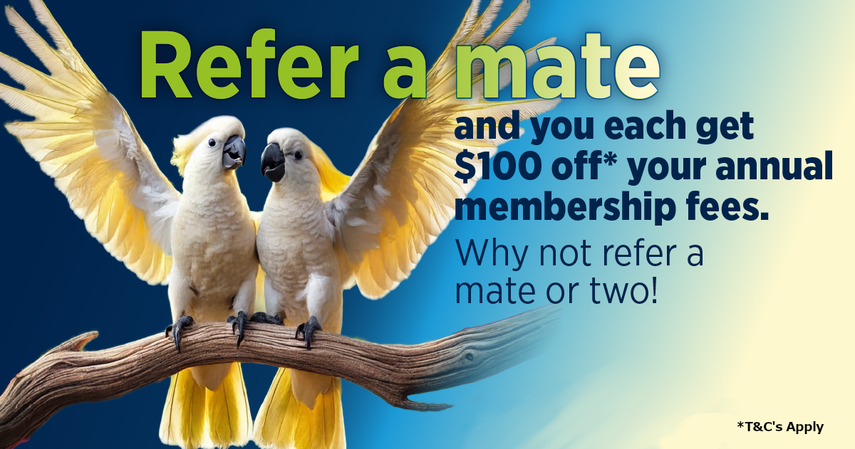 Master Electricians Australia Refer a mate